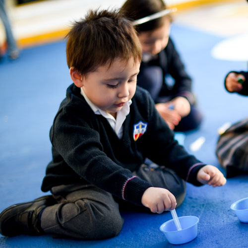 Instituto Simón Bolívar | Proyecto Educativo | Kínder | Primaria | Secundaria | Preparatoria