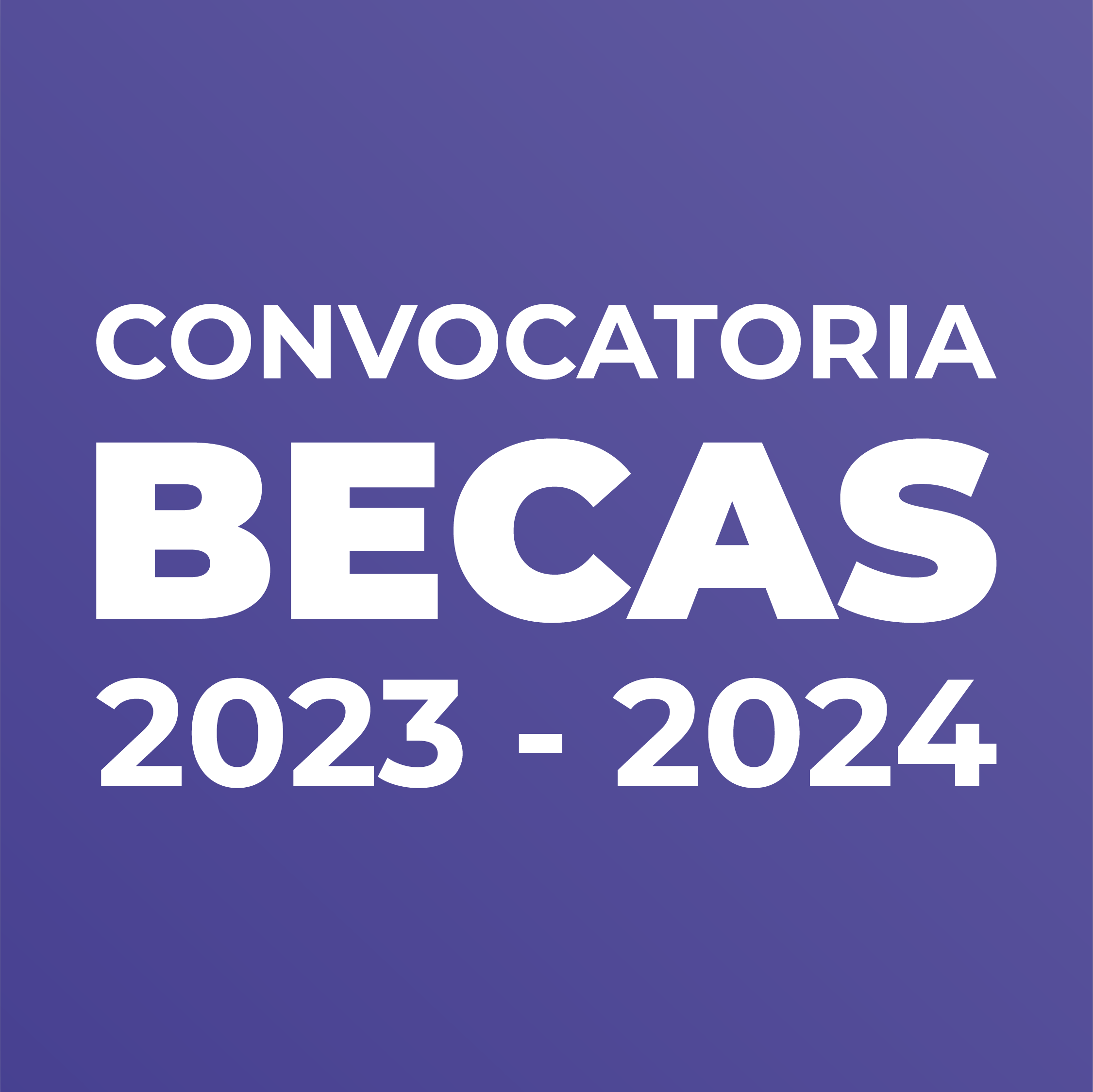 Banner becas__Mesa de trabajo 1 copia